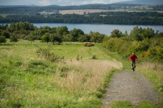 Radfahrer_5.jpg