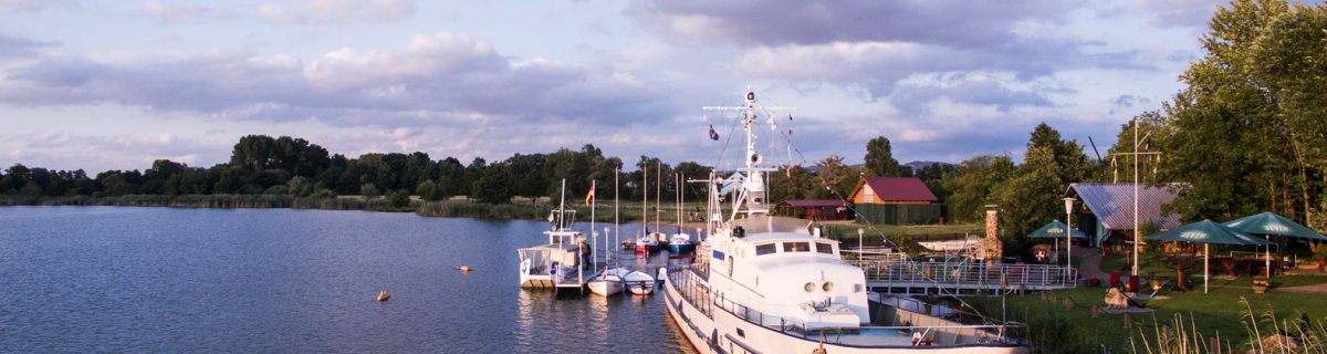 klee-3234470_1920.jpg